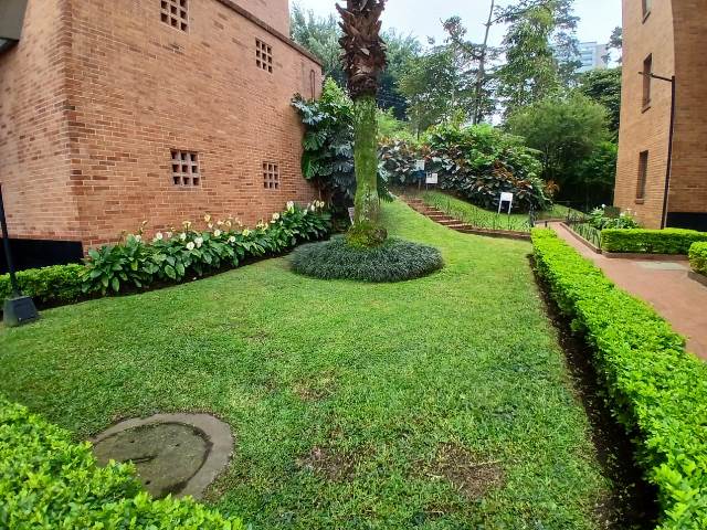 Apartamento en Arriendo