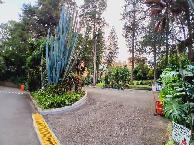 Apartamento en Arriendo