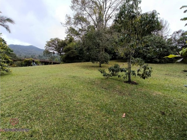 Lote en Venta