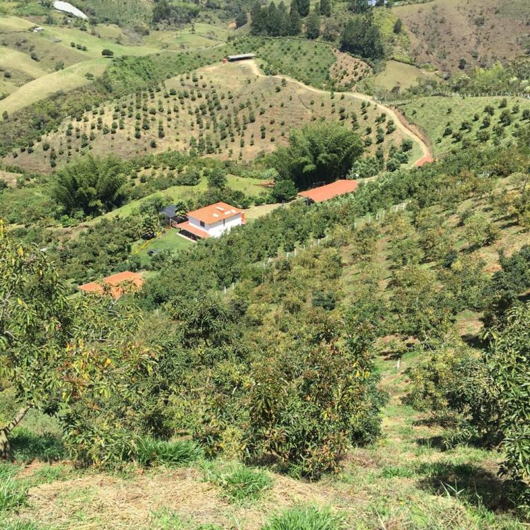 Finca en Venta 